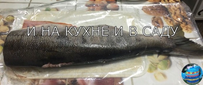 ��� ��������� �������� ���� � �������� ��������: ������� � ���������� ������