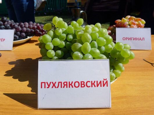 ���� �� ���� � �������� �������� ������ �� ��������� � ���������