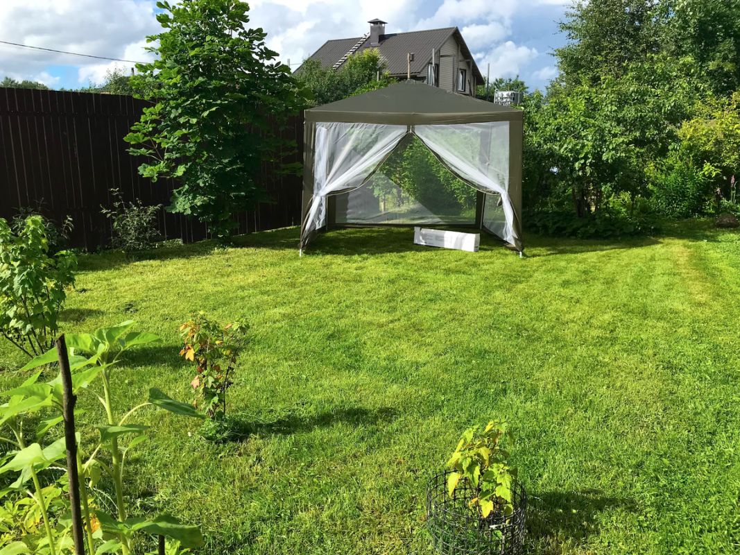 ��� ������ ��������� ��������: ������ � ���������������