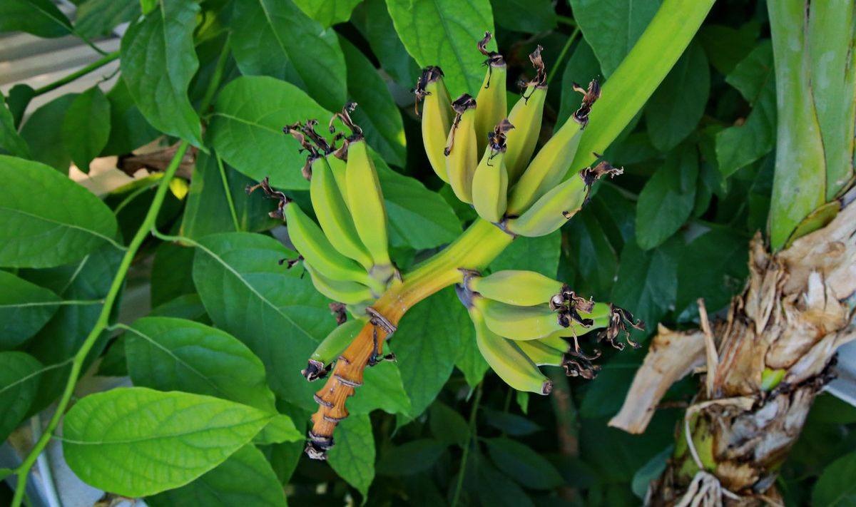 ��� ���������� ������� ������ �� ���� ����������