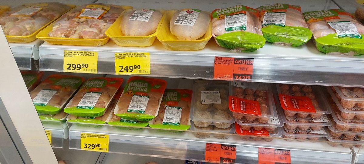 ������ ����� ������ ����� ���� �������� ������ � �������