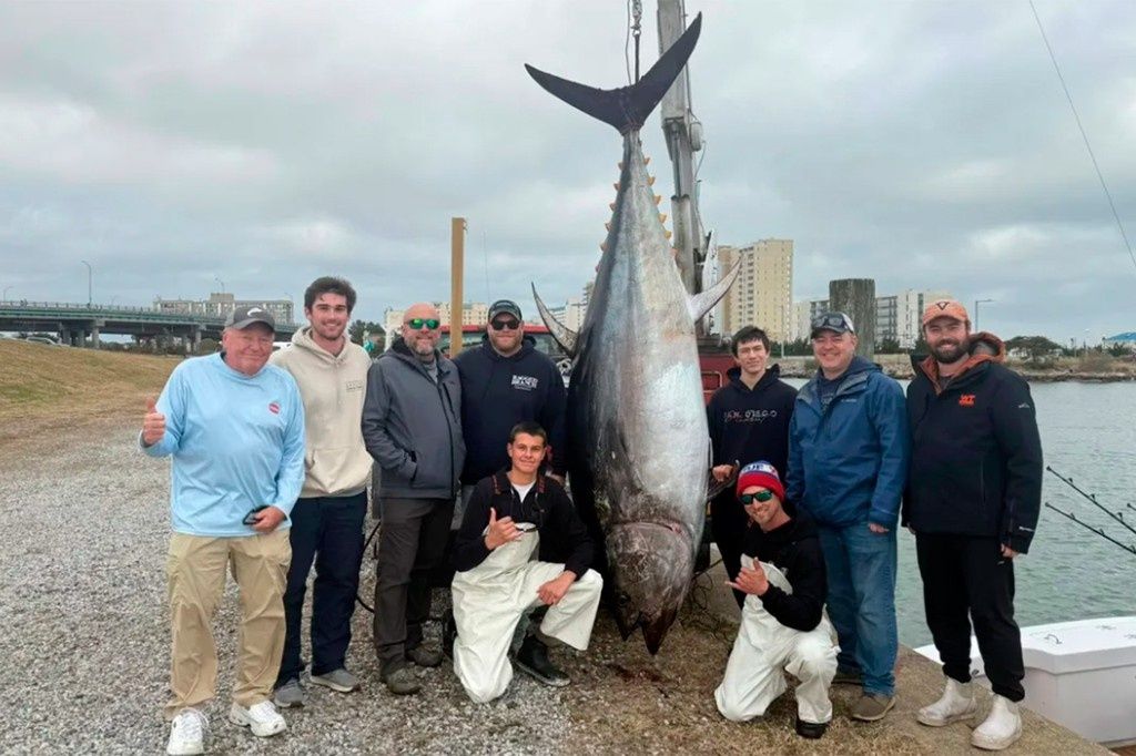 ����������� ����: ��������� ����� �������� � ����-������ ������ � ���������