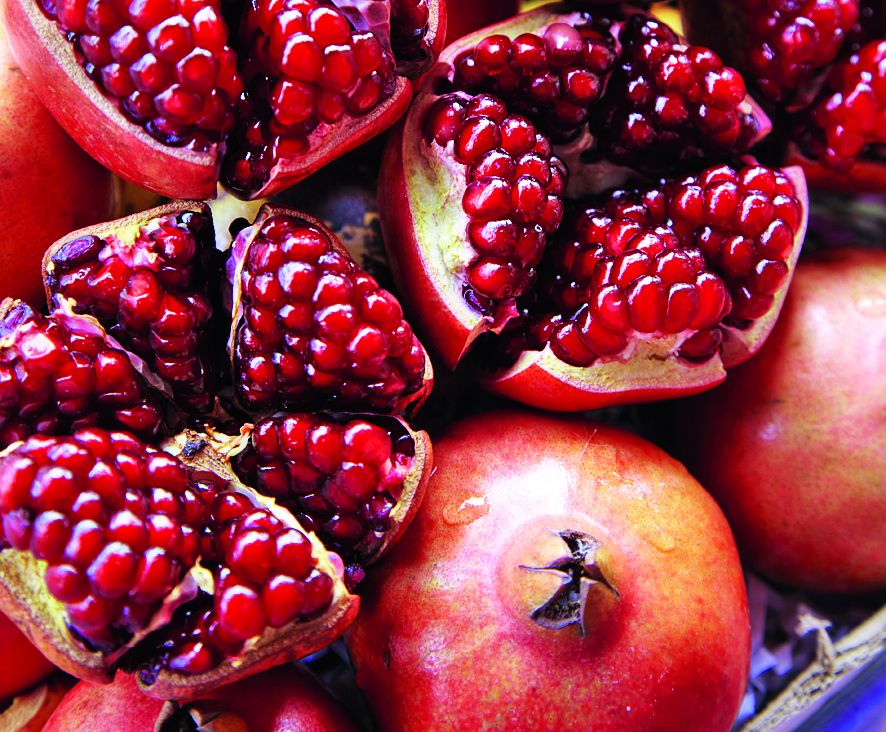 ������: ������������ ��������� �������