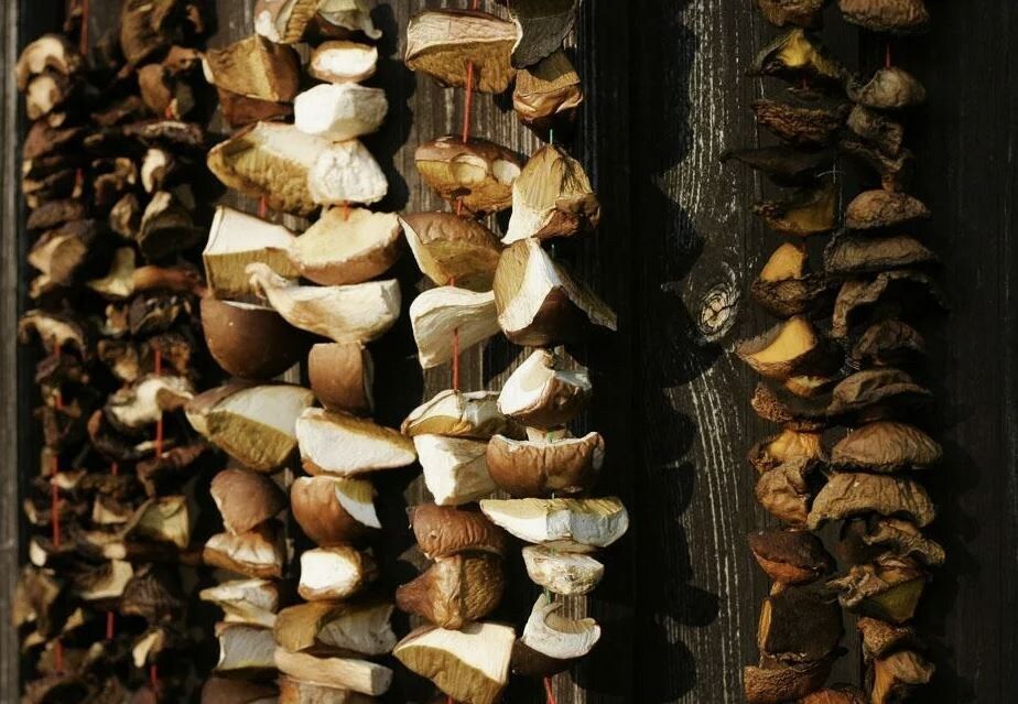 ��� ��������� ������ ����� � ����� ��� ��������