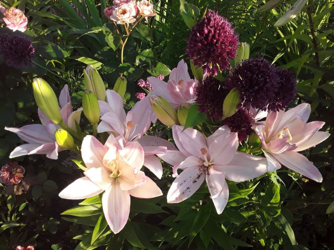 ����� ������� ����: ��� ������� ����������� ��� ��� ������ ������