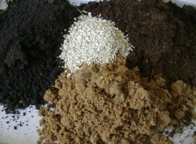 Как создать идеальный грунт для крепкой и здоровой рассады: секреты и советы