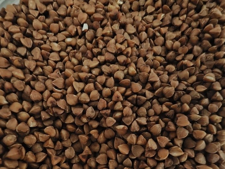 �� ����������� ��������� ������ ����� 66 ���� ������ � �������