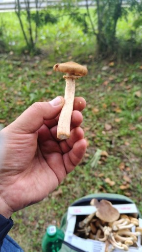 ��������� ������� ���� ������: ��� ����� � ����