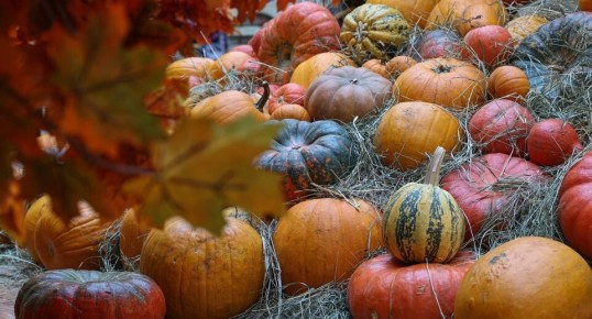Тыквенный Спас: Как отметить и что приготовить?