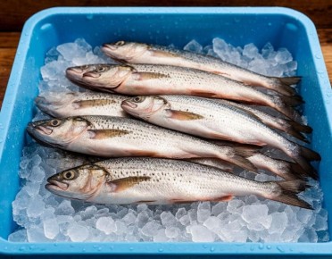 ������� ��������� ���� �� ������: ���� �� 18% � ������ 2026 ����