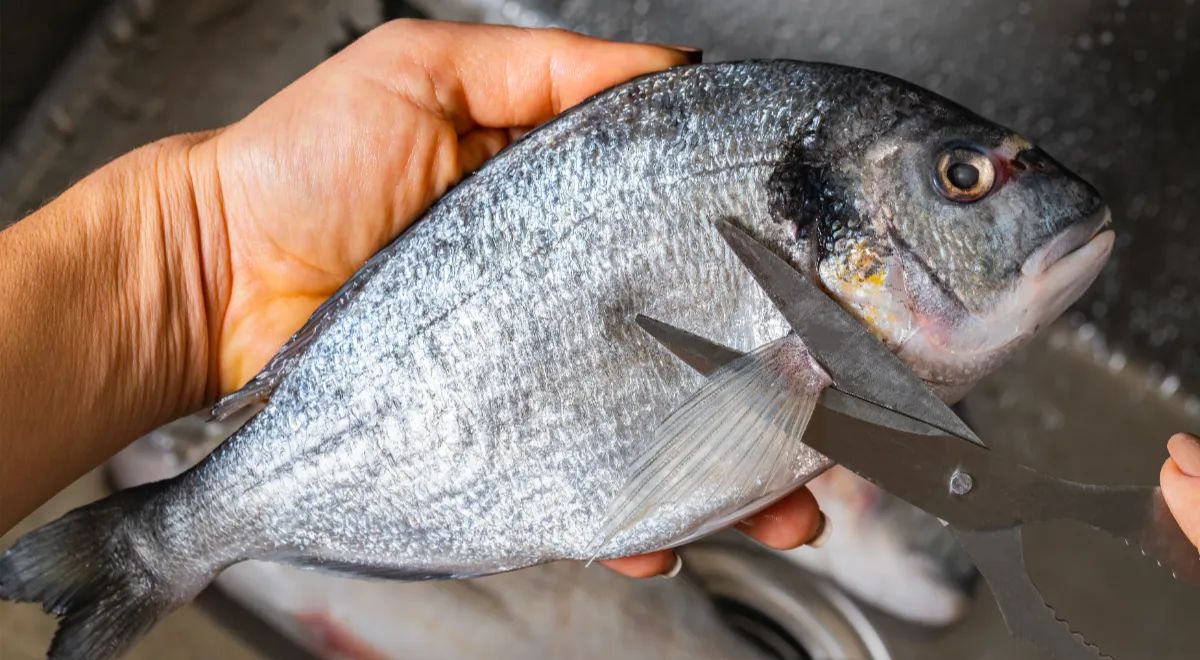 ������� ��� ����: �������� ��� �������������?