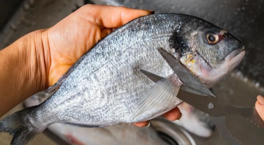 Ножницы для рыбы: удобство или бесполезность?