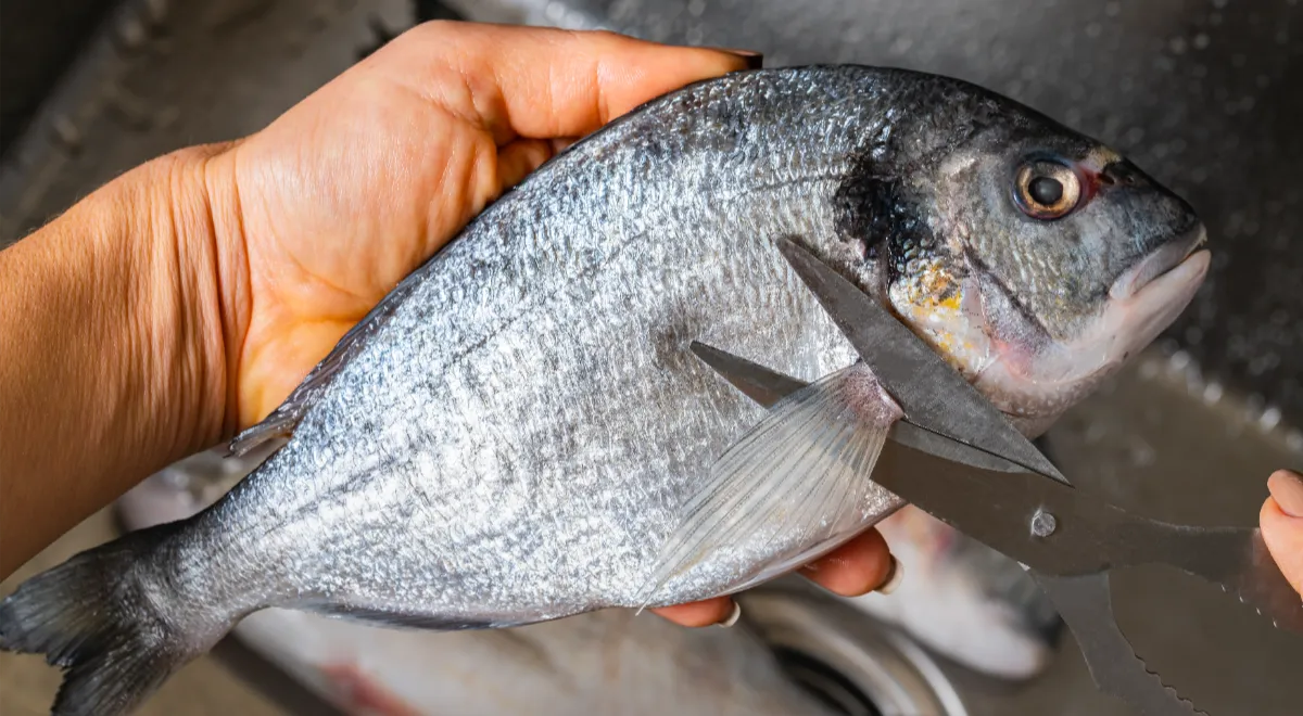 Ножницы для рыбы: удобство или бесполезность?