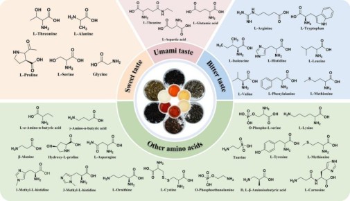 Аминокислоты в чае: результаты исследования