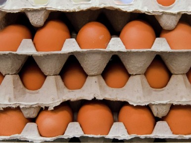 ��� ��������� �������� ����: ������ �� ������������