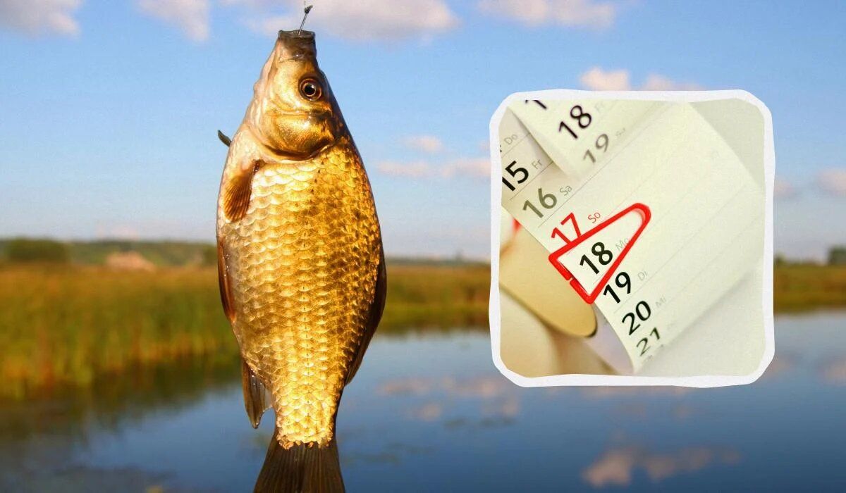 ������ ��������� ������� �� ������ 2025