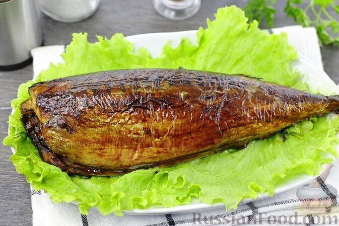 ���-5 �������� ������ ����, ������� ������� ������