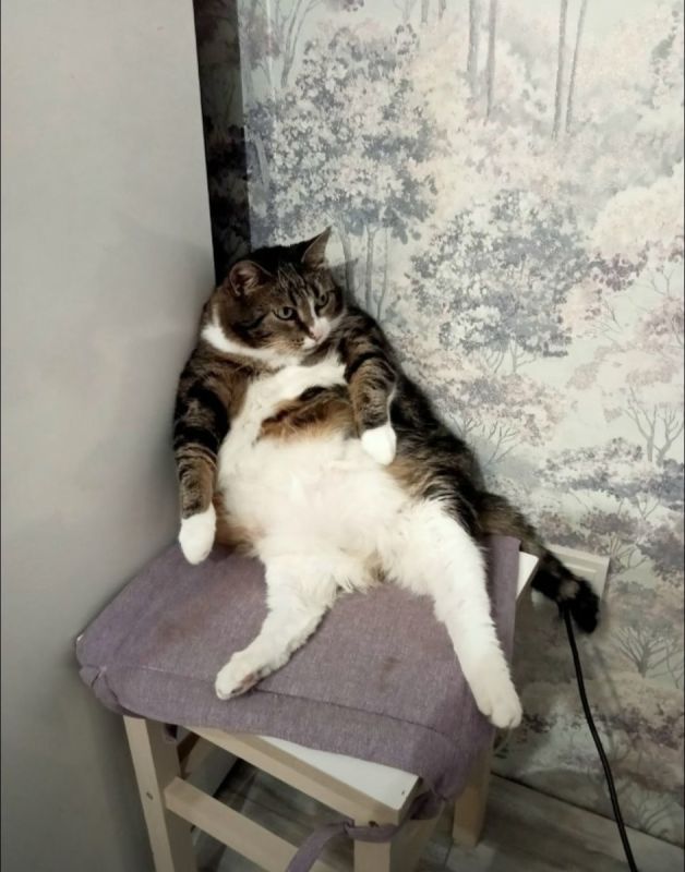 ������� ������ �� ����: �������� �����������