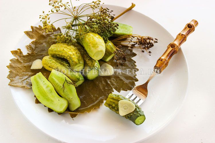 ����������� ������ �� �����: ������ � ������� ������