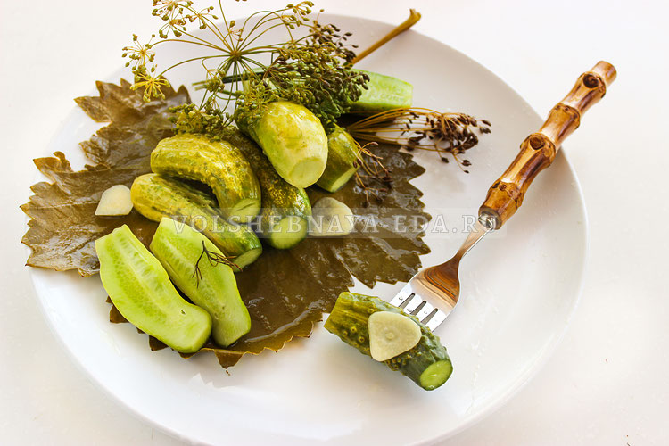 Малосольные огурцы за сутки: легкий и быстрый рецепт