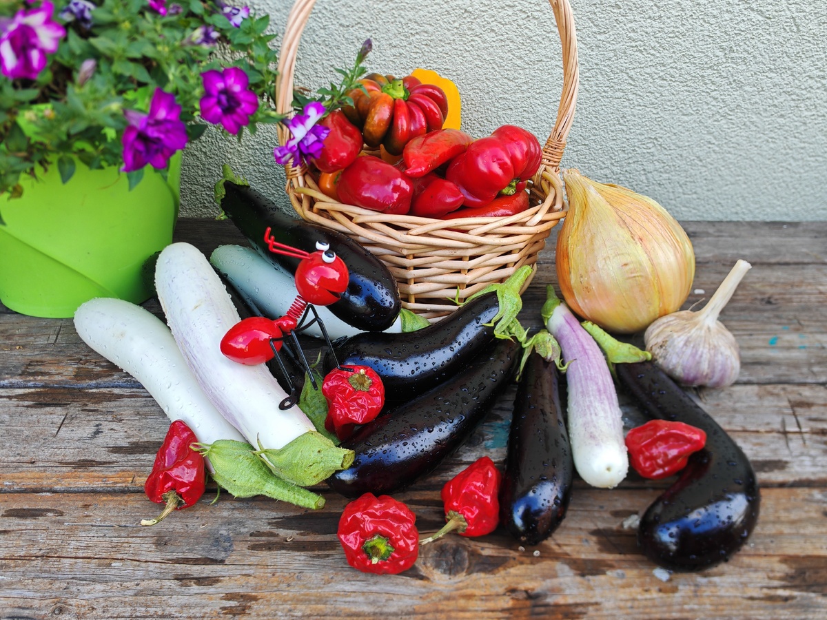 Как приготовить ароматную баклажанную икру с дымком на зиму