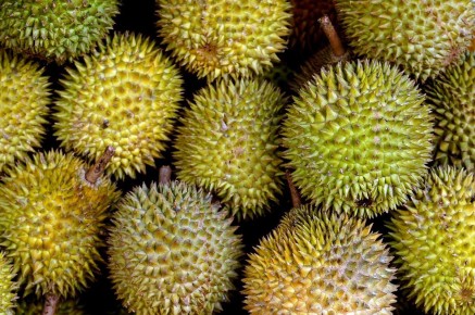 Дуриан: король фруктов с уникальным ароматом и вкусом