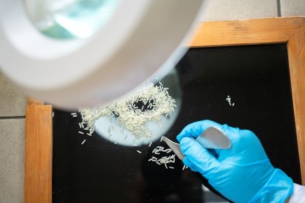 ����� ��������� � �������� ����: ������ ���������� ������� ���