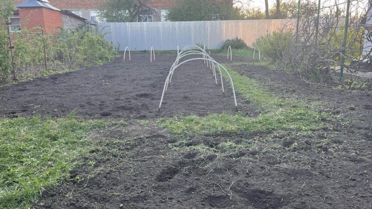 Как получить ранний урожай кабачков: секреты подзимнего посева в ноябре