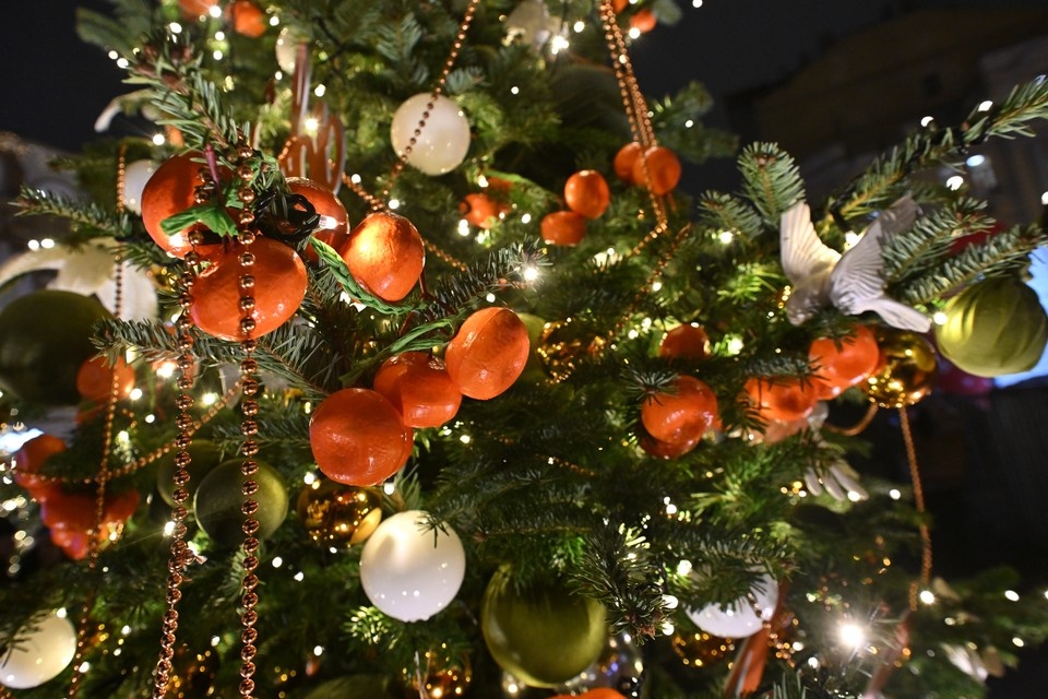 В Железноводске стартует фестиваль по очистке мандаринов