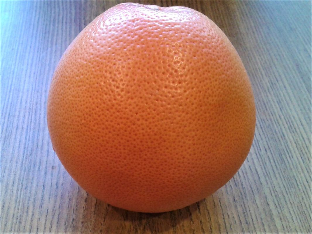 ������ ����������� �����: �������� � ������������