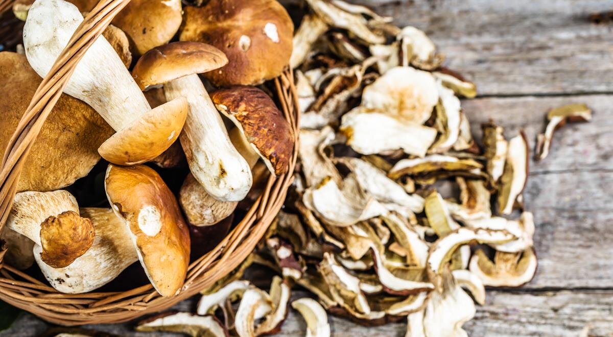 Невероятные рецепты супа из сушеных грибов на любой вкус