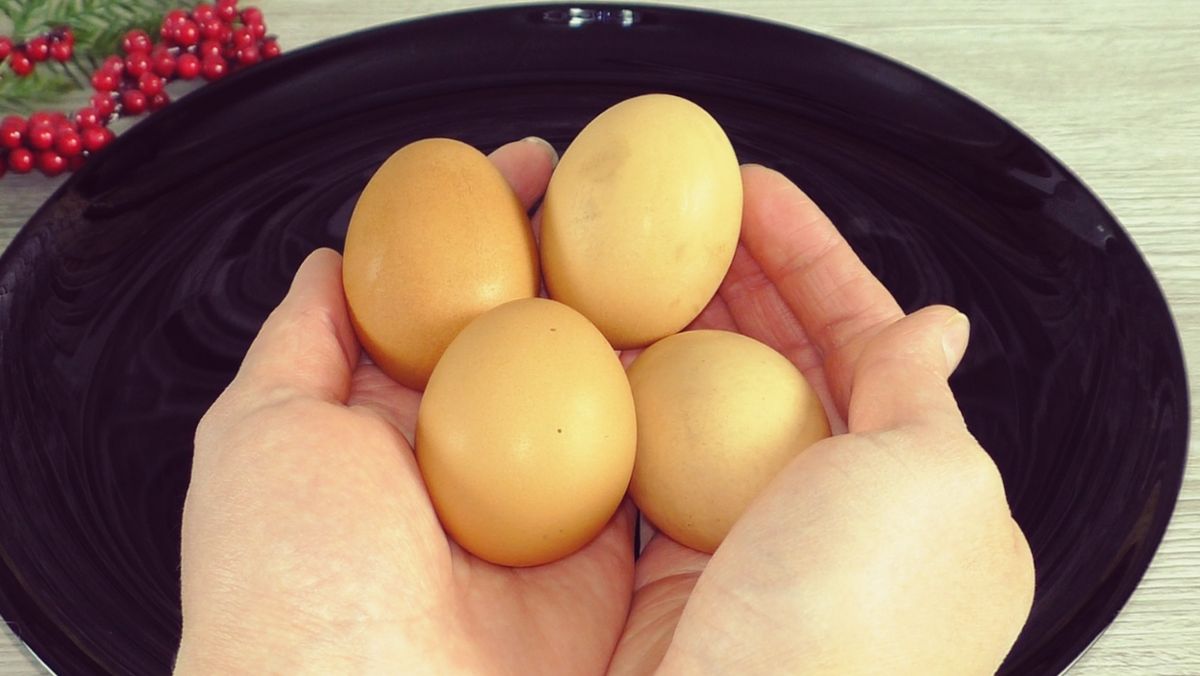 ��� ����������� ���� ��-������: ������������� ������ ��� ���� �����