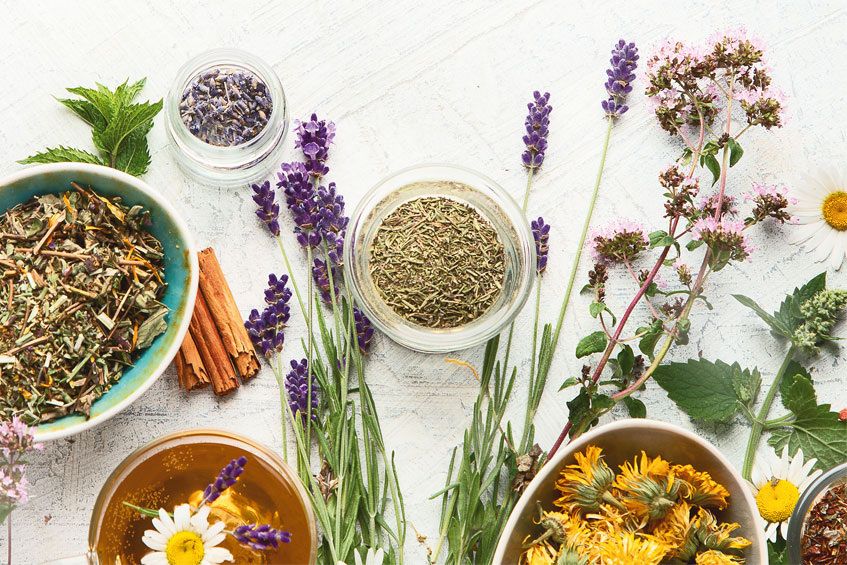 ������� �������������