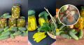 Неожиданные рецепты для маринованных огурцов на зиму