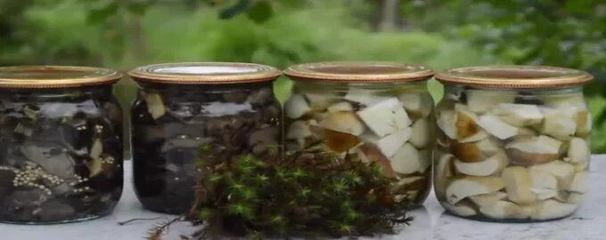 ����� �� ����: �������������� ������� �� ��������� ��������