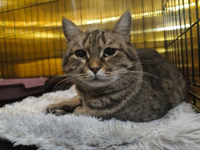 ��������: �����, ������� ���� ������ �������� ��� ���