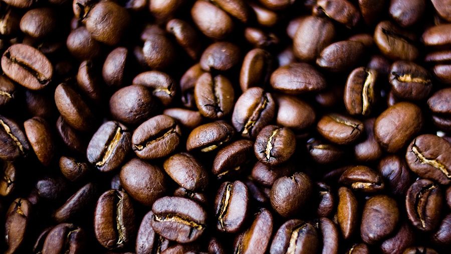 ����: ����������� �� ��������� �� �������������