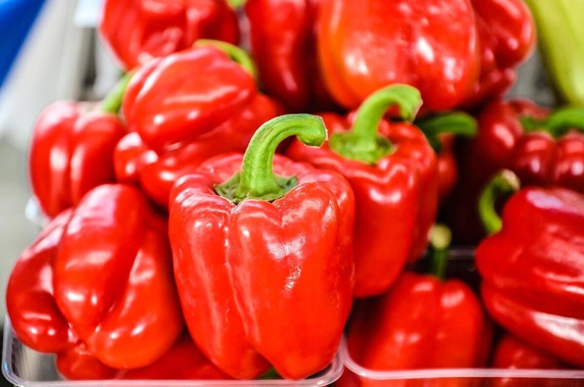 �������� ������ ����� �� ���������� ��������: �� ����� '��������' �� ������� '������� ����'