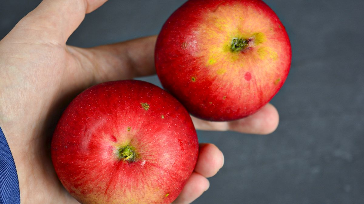 ��������������� �������� ����� �� 5 �����: ������� ��� ������