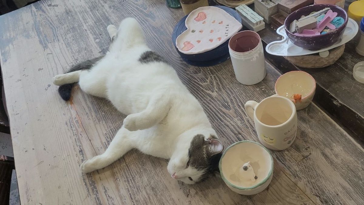 ��� ��� ������� �������� ������ � ��������� ����������