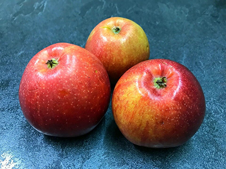 ���������� ����������� �����: ��� ����������� ���������� ������ � ����� � ��������