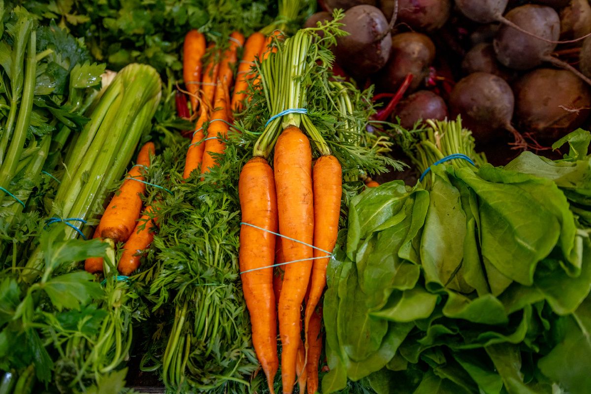 �������� ������� ������: ��� ������ ��������� ����������������� ����� ����