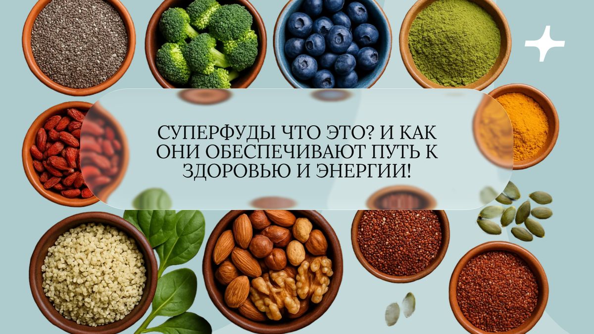 ���������: ���� � ������ �������� � �������