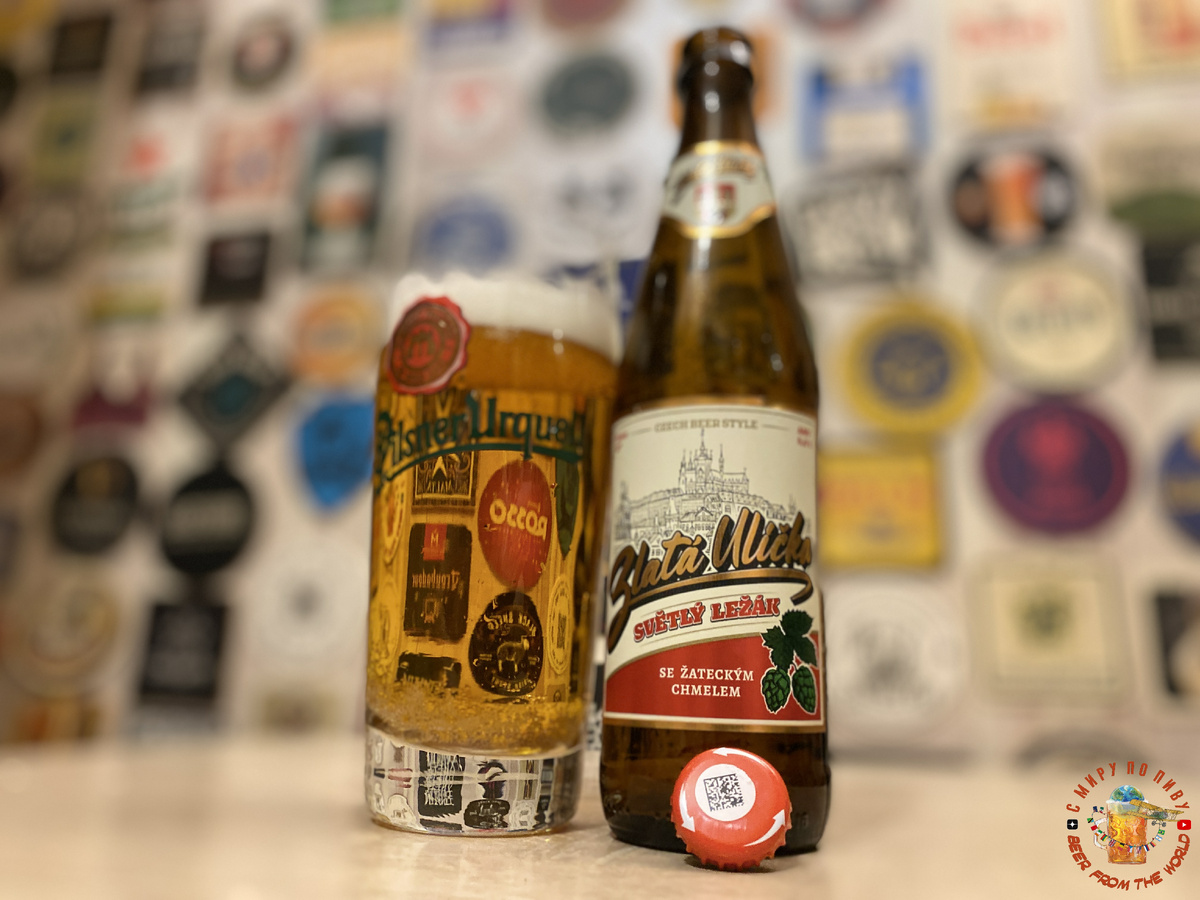 Новая звезда пивного мира: что стоит знать о Zlata Ulicka