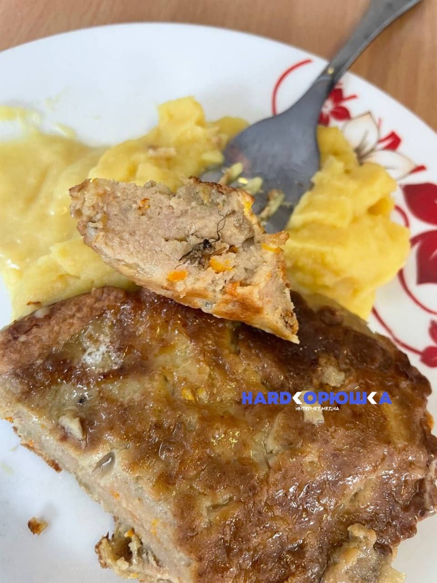 Прокуратура проверит качество питания в школе №11 после инцидента с тараканами