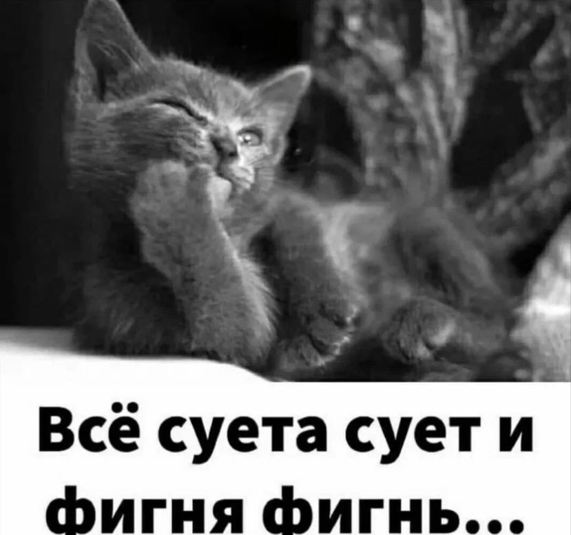 ������� �������� ����������� �� ������� �������