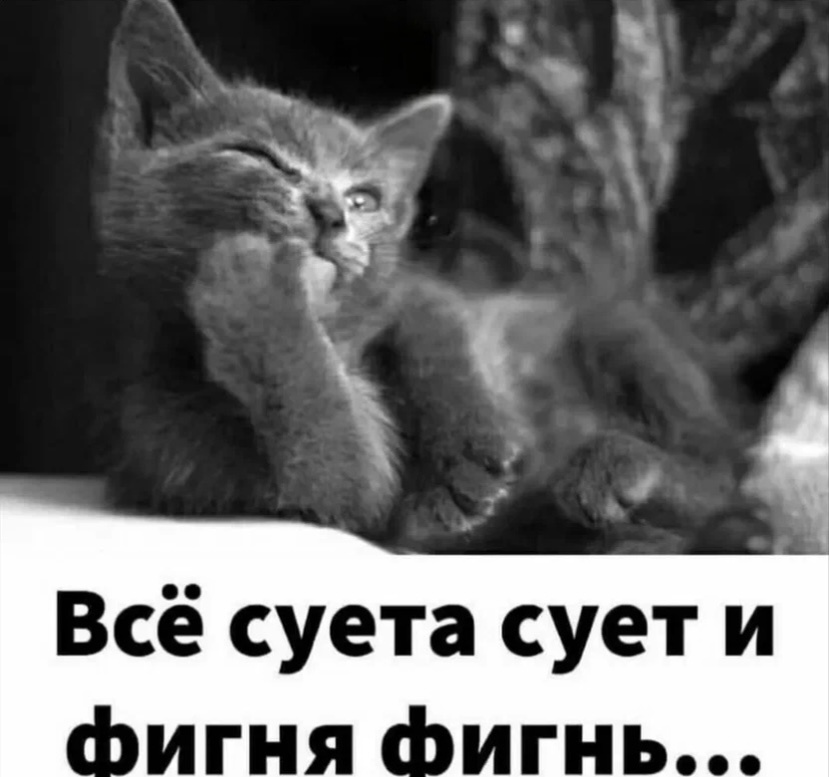 Секреты домашней консервации от опытной хозяйки