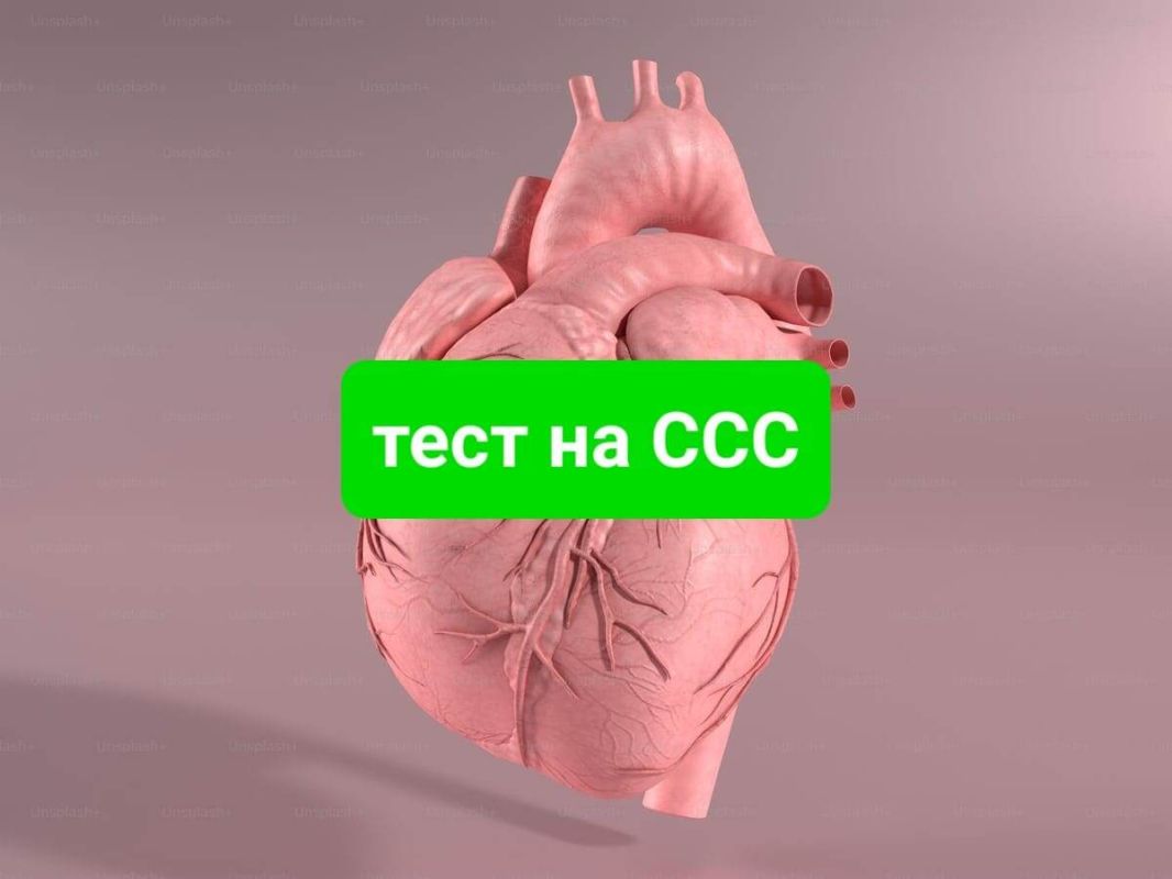 ��� ������ �������