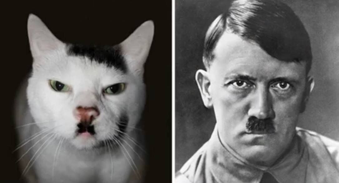 20 ��������, ������� �� �������������: ������������ ��������