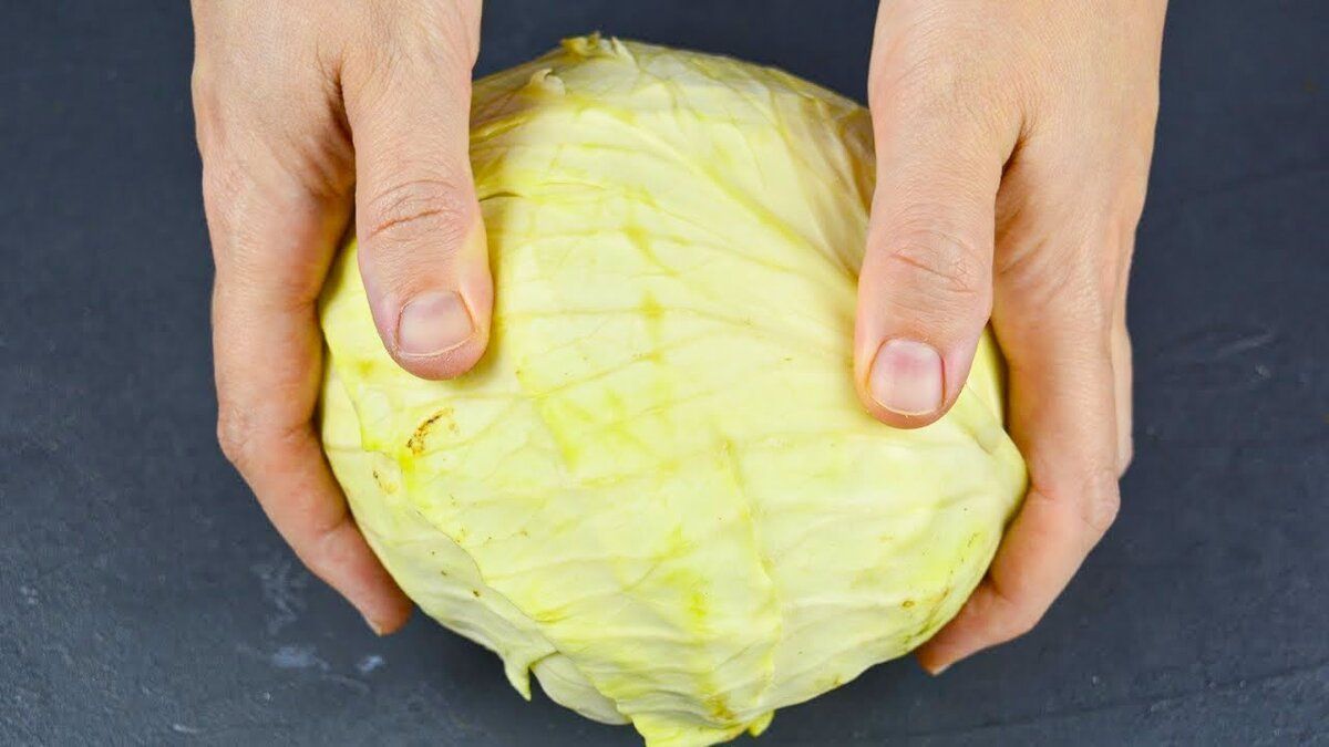 ������ ���� �������: ��� ������������ ������ ��� ������� �����